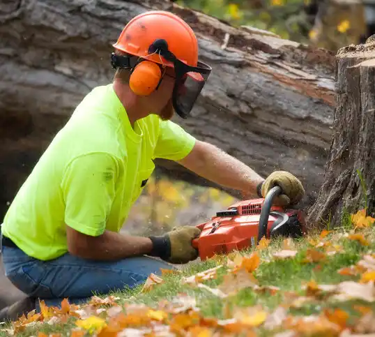 tree services Sheridan